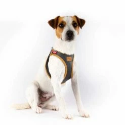 Curli Hondentuig Clasp Vest Apple Leather Zwart -Hond winkel image 833