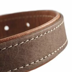 Hunter Hondenhalsband Porto Bruin -Hond winkel image 848