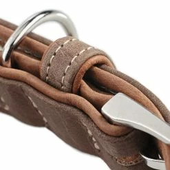 Hunter Hondenhalsband Porto Bruin -Hond winkel image 850