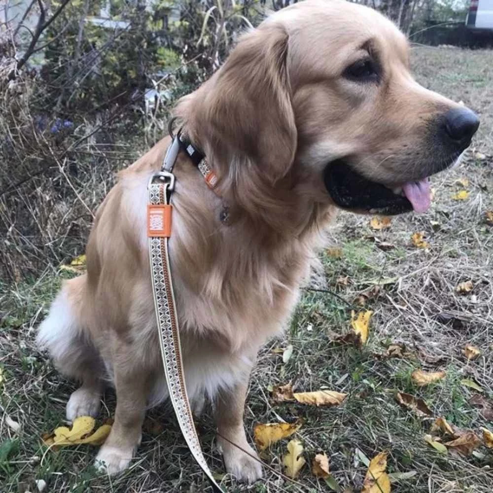 Max&Molly Max & Molly Hondenriem Short Leash Ethnic 4 Max&Molly Max & Molly Hondenriem Short Leash Ethnic - Afbeelding 2