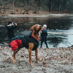 Hunter Hondenjas Uppsala Allrounder Rood -Hond winkel image 89