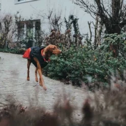 Hunter Hondenjas Uppsala Allrounder Rood -Hond winkel image 90