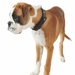 Hunter Hondenhalsband Softie Zwart Triluxe -Hond winkel image 900