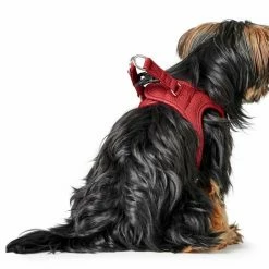 Hunter Hondentuig Love -Hond winkel image 911