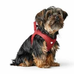 Hunter Hondentuig Love -Hond winkel image 913