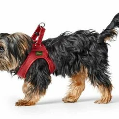 Hunter Hondentuig Love -Hond winkel image 914