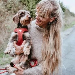 Hunter Hondentuig Love -Hond winkel image 916