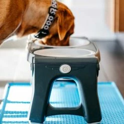 Dexas Adjustable Height Pet Feeder Light Grey