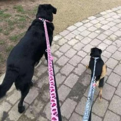 Max&Molly Max & Molly Hondenriem Multi Function Zebra -Hond winkel image 958