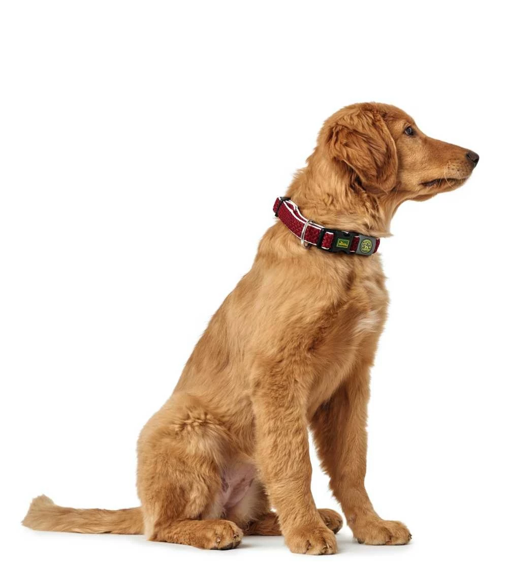 Hunter Hondenhalsband Hilo Vario Plus Rood 4 Hunter Hondenhalsband Hilo Vario Plus Rood - Afbeelding 2